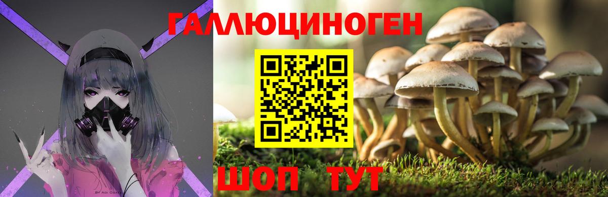 Псилоцибиновые грибы Magic Shrooms  Вход с VPN  Назрань 